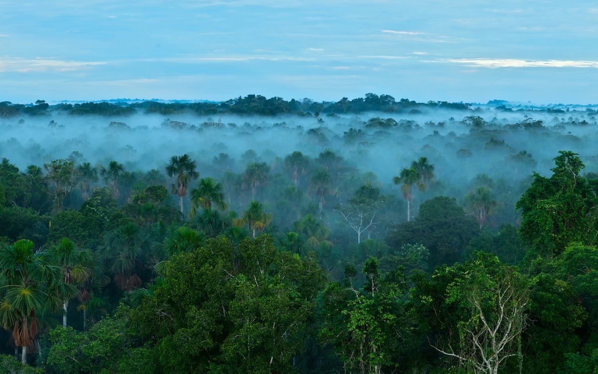 Amazónia: Elzárt törzsek és elfeledett városok