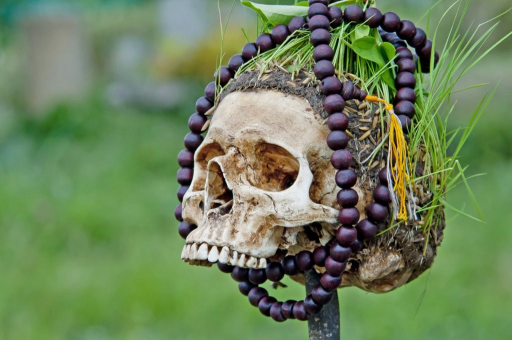 Kannibálok a 21. században