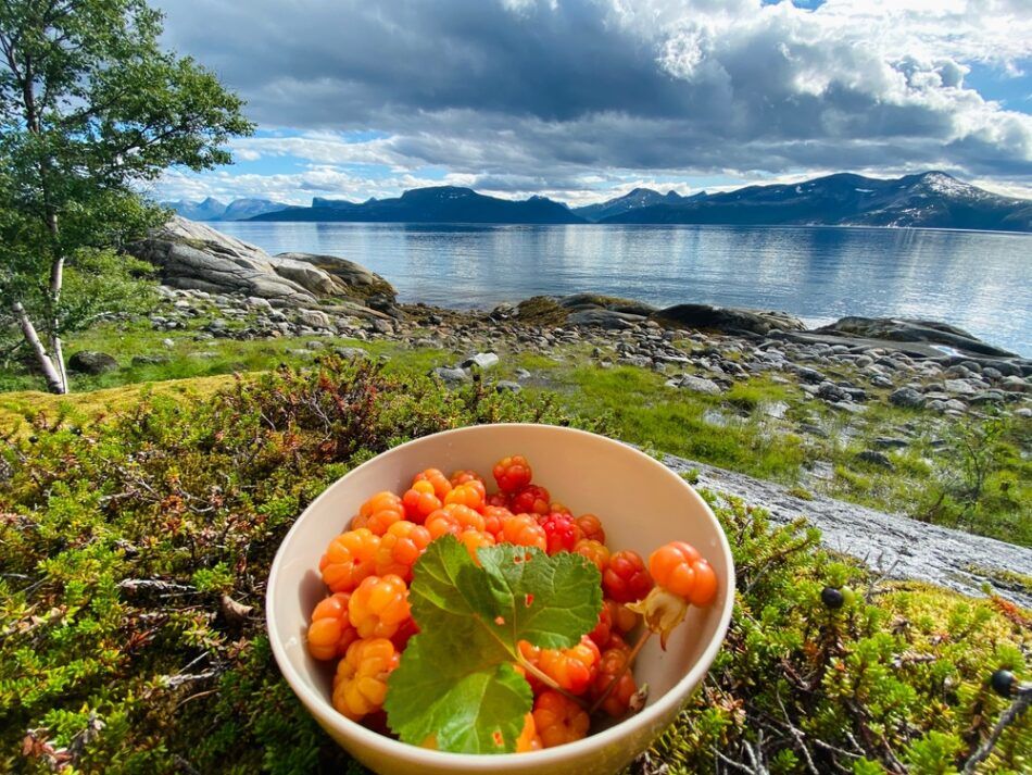 Mit együnk Norvégiában?