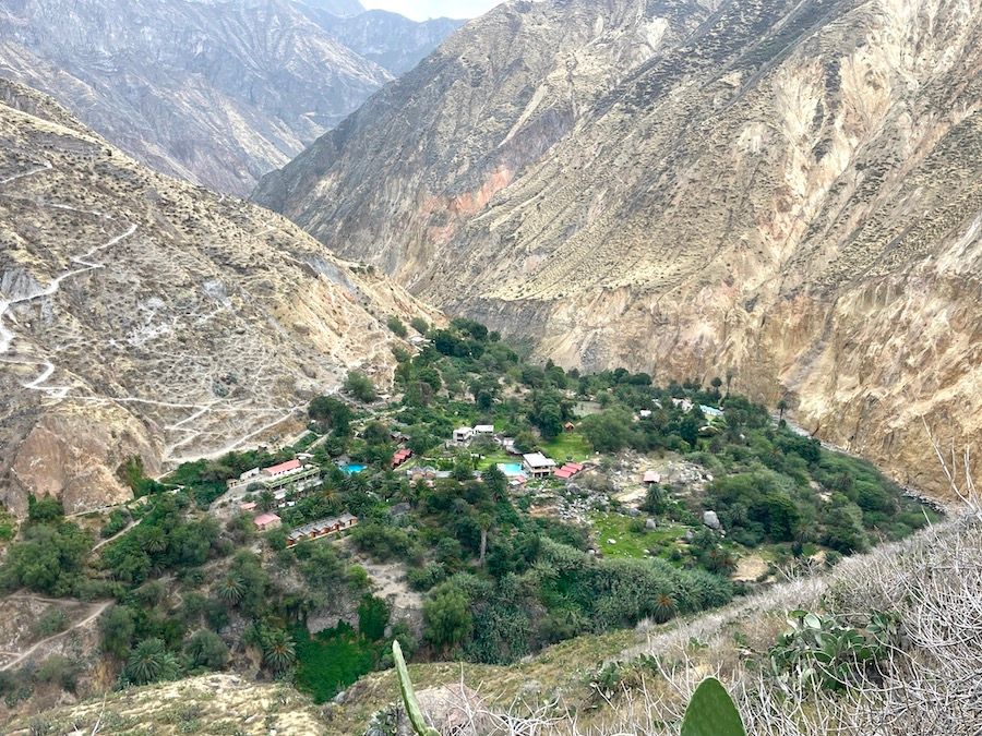 Colca-kanyon, Peru