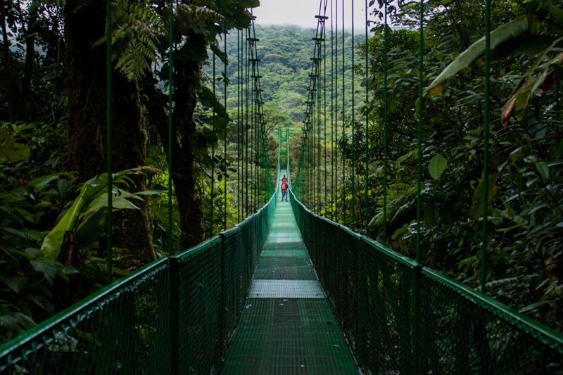 Függőhíd Monteverdében, Costa Rica látnivalói közül az egyik legkülönlegesebb