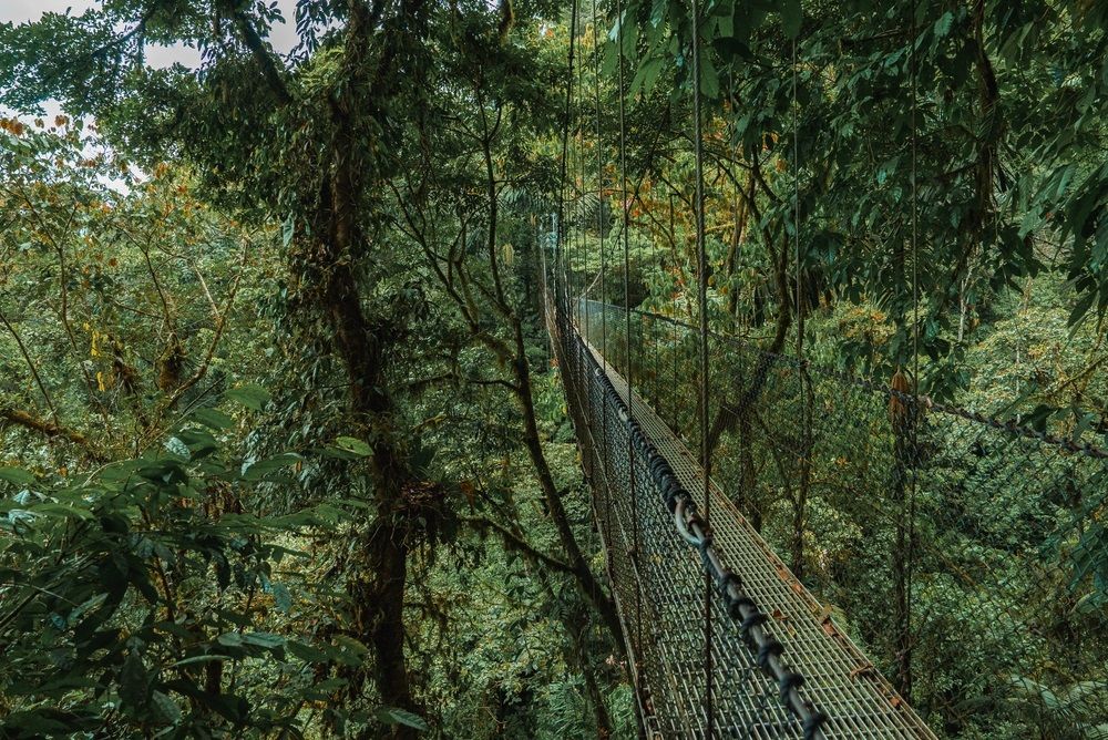 Costa Rica látnivalói, a függőhidak