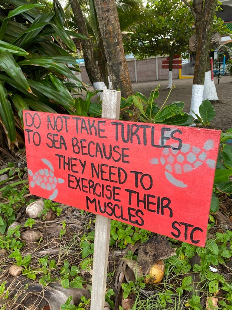 Costa Rica természet