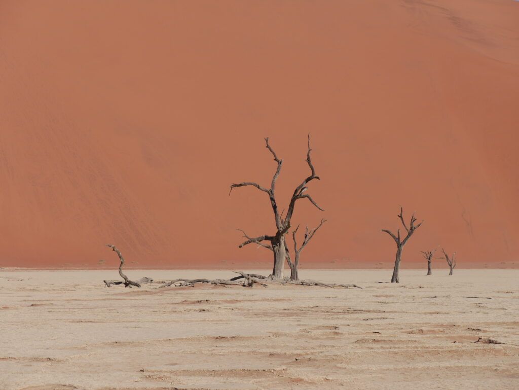 Deadvlei, az egykori ártér