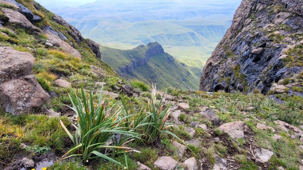 Drakensberg, Dél-Afrika