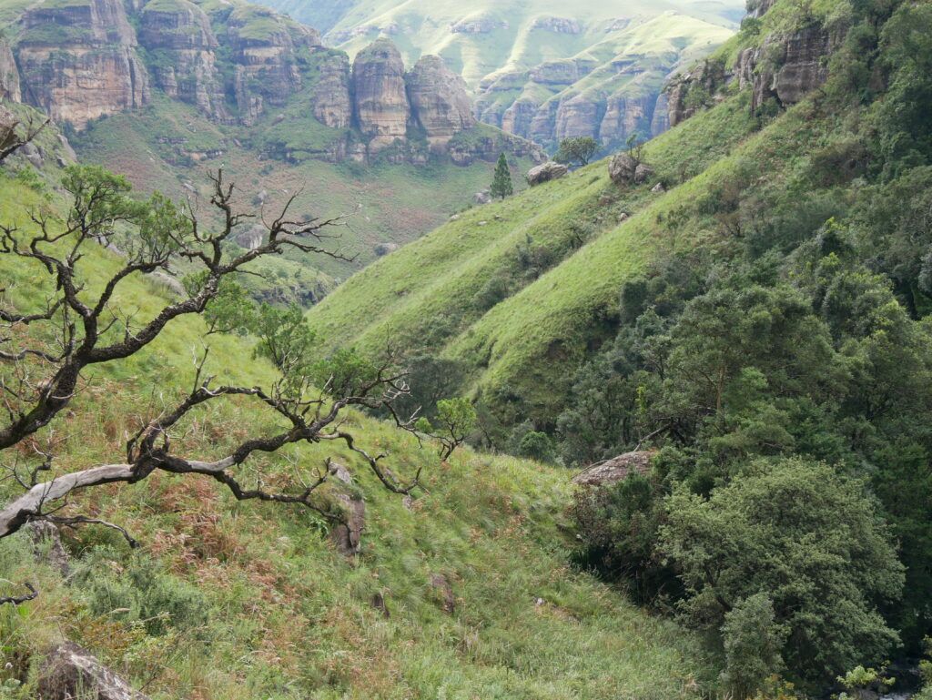 Drakensberg, Dél-Afrika
