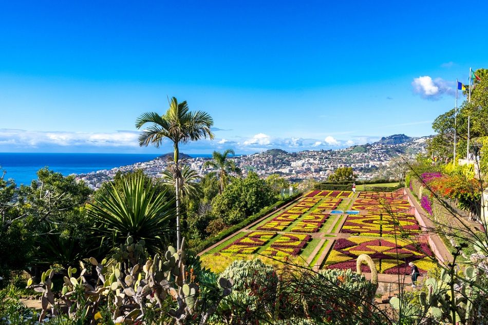 madeira botanikus kert