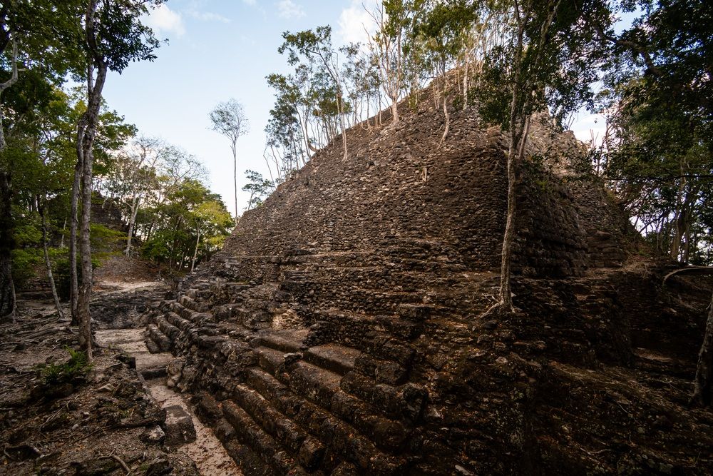 La Danta ősi maja piramis romjai a guatemalai dzsungel mélyén, fákkal benőve