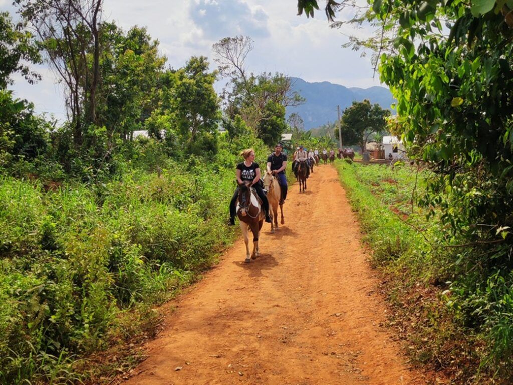 vinales lovaglás