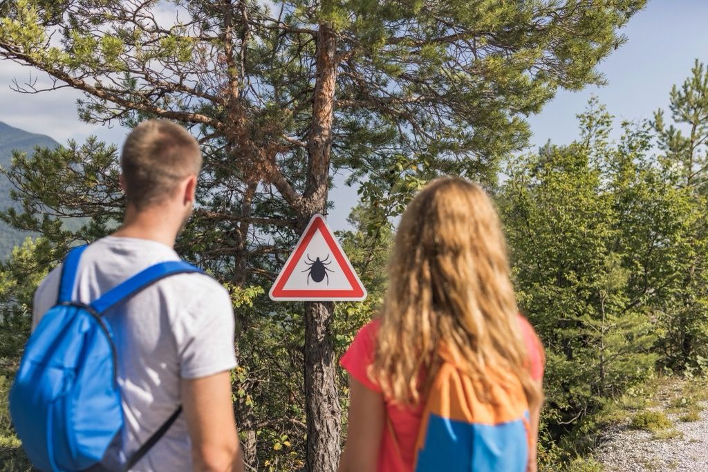 Kullancsokra figyelmeztető tábla egy túraútvonalon. Előtte két túrázó áll.