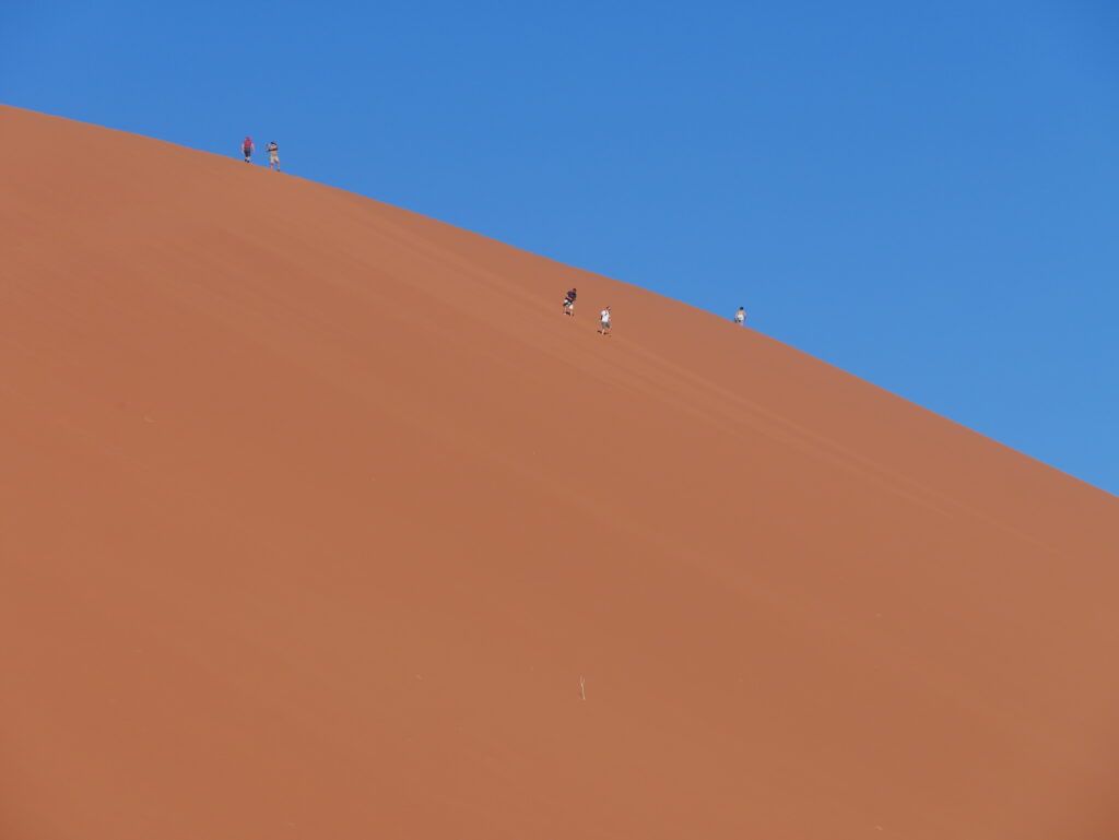 A hosszú, kimerítő dűne mászás jutalma: downhill