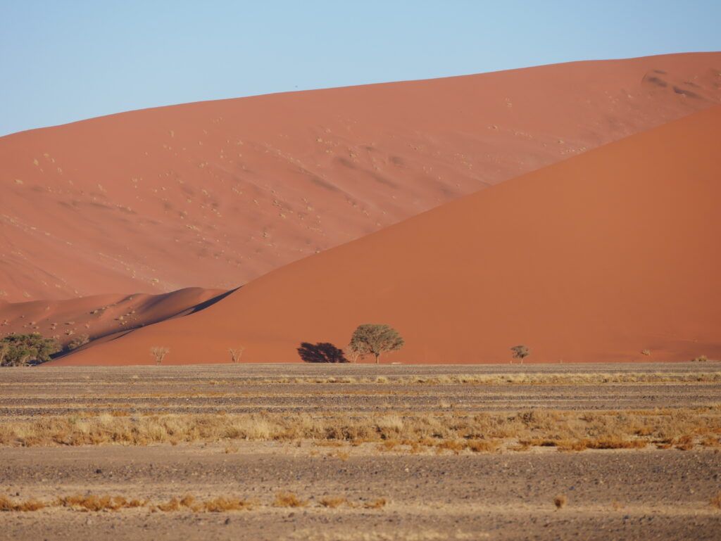 Sossusvlei dűnéi az útról