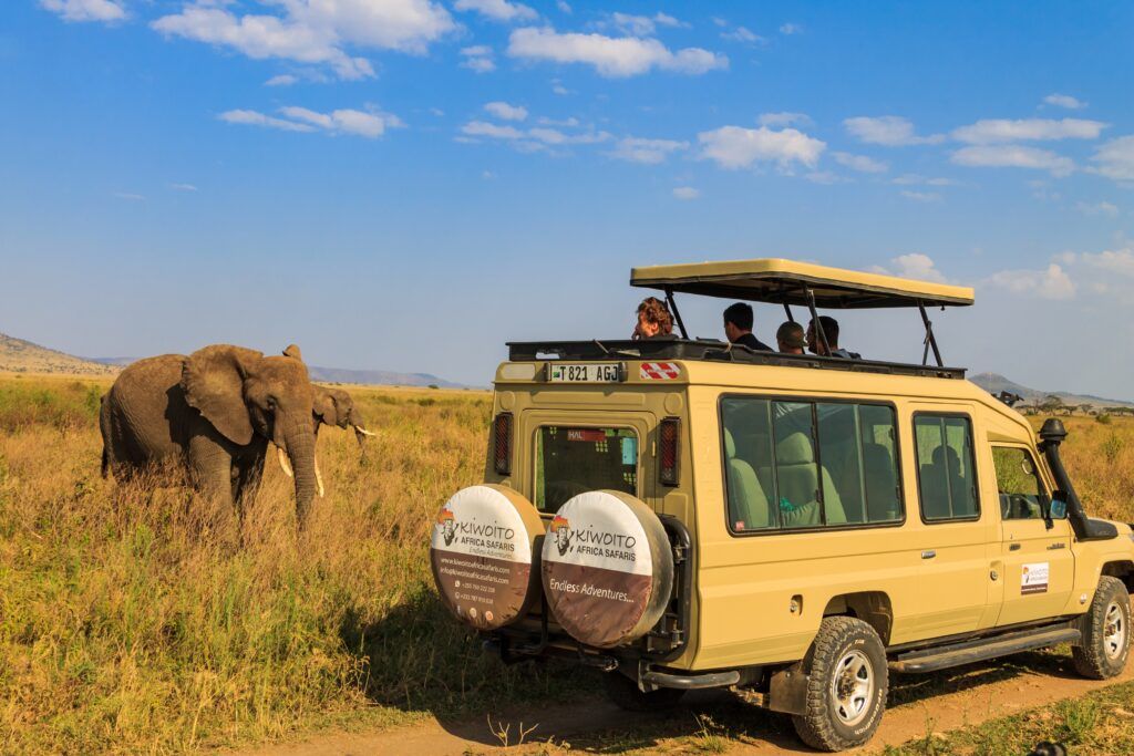Serengeti, Tanzánia