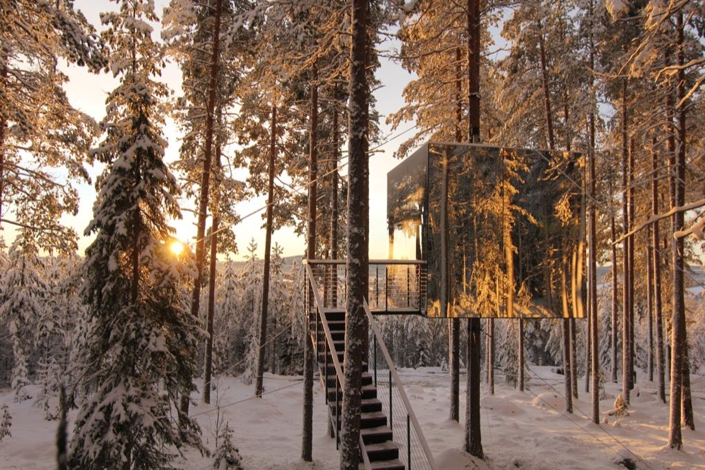 Treehotel