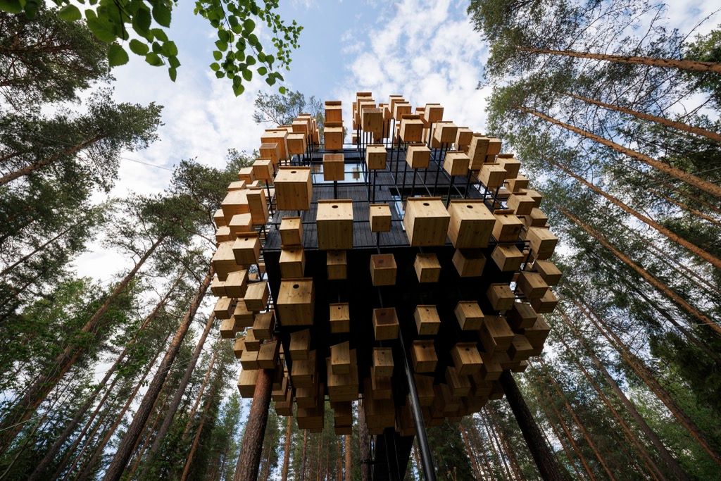 Treehotel